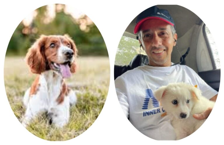 #अवांतर, #मराठीकथा, #मराठीलेखन, #मराठीआवृत्ती, #मराठीसाहित्य, #मराठीलेखक, #मराठीमनोरंजन #मराठीवेबसाइट, #मराठीआर्टिकल, #मराठीस्टोरी, #श्वान, #कुत्रापालन, #प्राणीमित्र