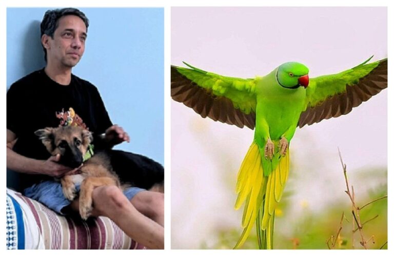 #अवांतर, #मराठीकथा, #मराठीलेखन, #मराठीआवृत्ती, #मराठीसाहित्य, #मराठीलेखक, #मराठीमनोरंजन #मराठीवेबसाइट, #मराठीआर्टिकल, #मराठीस्टोरी