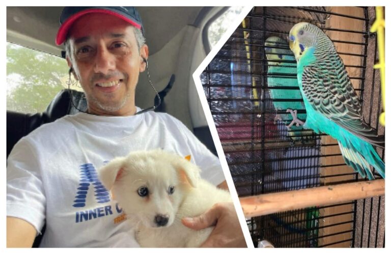 अवांतर, मराठीकथा, मराठीलेखन, मराठीआवृत्ती, मराठीसाहित्य, मराठीलेखक, मराठीमनोरंजन, मराठीवेबसाइट, मराठीआर्टिकल, मराठीस्टोरी, रीगल, डॉबरमॅन, मंदार_पाटील, लंडन_मुक्काम