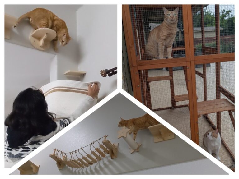 चांगलीच