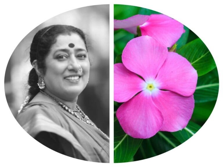 सदाफुली, बालपण, आजीआजोबा, periwinkle, Harsha,