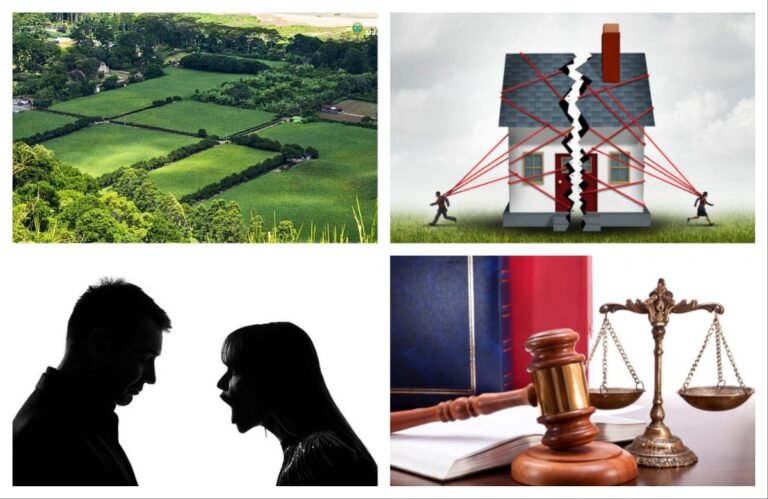 अवांतर, मराठीसाहित्य, मराठीआर्टिकल, भाऊबहीण, जमिनीचा तुकडा, वाटणी, हिस्सा, मीनाक्षी महेश, Brother, sister, piece of land, division, share, Meenakshi, Mahesh