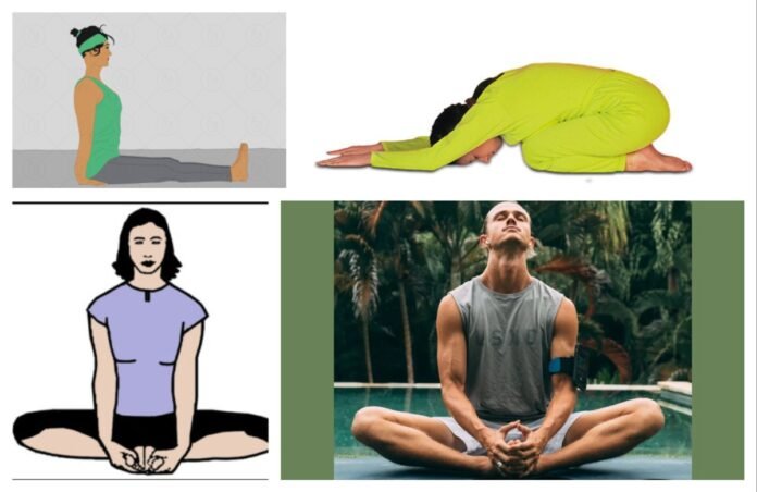 Anita Article अवांतर, Aasana, Yoga, lifestyle, आसने, योग, जीवनशैली, Dandasana, Bhadrasana, Butterfly Asana, Shashankasana, दंडासन, भद्रासन, तितली आसन, शशांकासन