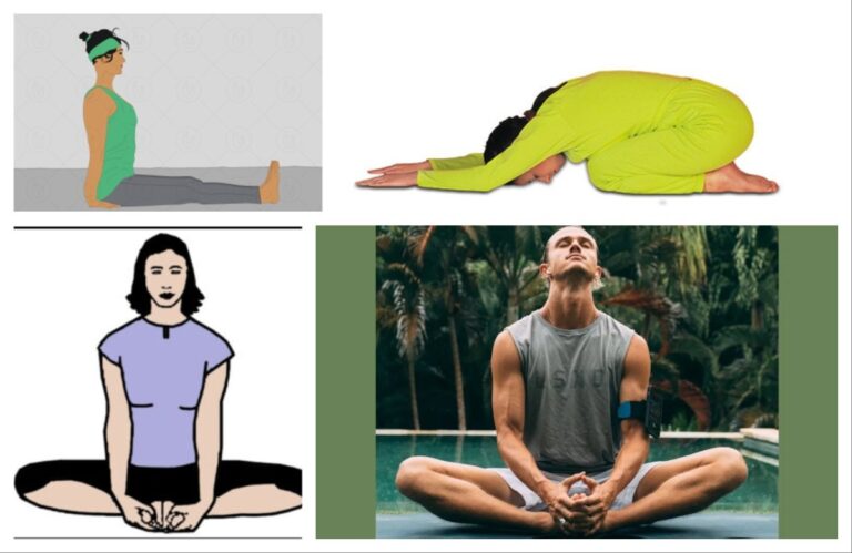 Yoga is lifestyle : दंडासन, भद्रासन, तितली आसन, शशांकासन अवांतर, Aasana, Yoga, lifestyle, आसने, योग, जीवनशैली, Dandasana, Bhadrasana, Butterfly Asana, Shashankasana, दंडासन, भद्रासन, तितली आसन, शशांकासन