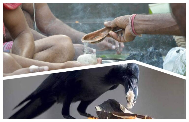 अवांतर, मराठीसाहित्य, मराठीआर्टिकल, मोक्ष, सुलोचना, सुलूताई, प्रतिभाताई, सुनिधी, अमीत, सुमित, राजाभाई, विक्षिप्तपणा, रोजनिशी, Moksha, Sulochana, Sulutai, Pratibhatai, Sunidhi, Amit, Sumit, Rajabhau, Rojanishi,