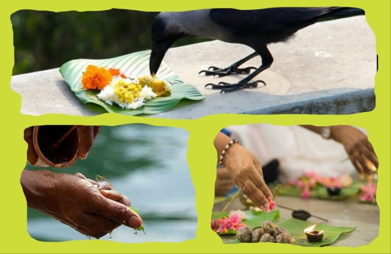 अवांतर, कथा, लघुकथा, लेख, स्टोरीज, पितृपक्ष, पितृपंधरवडा, तर्पण, श्राद्ध, पितरे, पिंडदान, Pitrupaksha, Pitrupandharvada, Tarpan, Shraddha, Pitre, Pinddan,