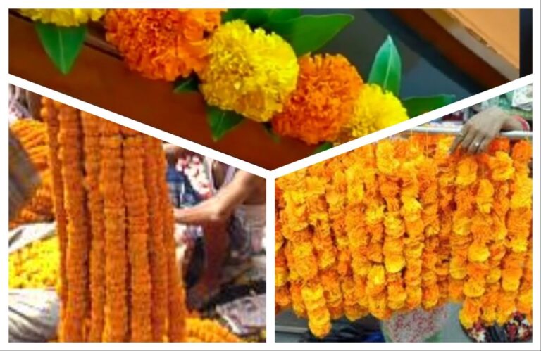 तोरण… निरागस अन् शोभिवंत! अवांतर, मराठीकथा, मराठीलेख, दसरा, तोरण, झेंडूचे तोरण, तोरण विकणारी, आंध्रमधील कुटुंब, सुखाचे तोरण