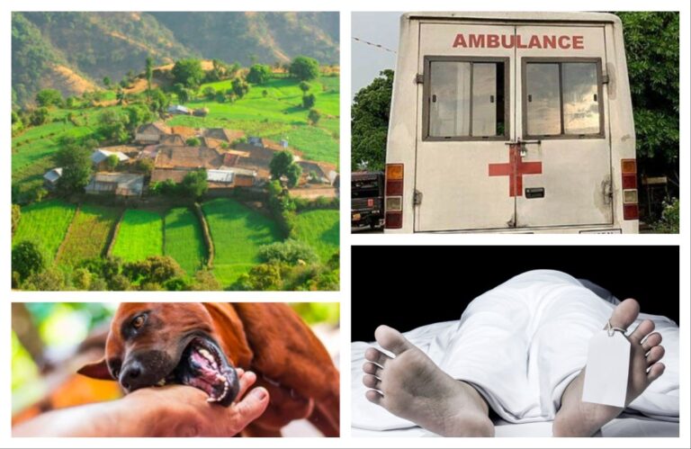 अवांतर, मराठीकथा, मराठीलेखक, मराठीवाचन, मराठीसाहित्य, नवसाचा मुलगा, पाटलाचा सुनील, सुनीलला रेबीज, नवसाचा सुनील, प्राणघातक रेबीज,