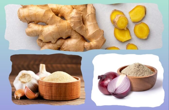 Kitchen Tips-1 अवांतर, रेसिपी, Recipe, Kitchen Tips, किचन टीप्स, किचन टिप्स, शेंगदाणा कूट, लसूण पावडर, पावडर, कांदा पावडर, आल्याच्या चकत्या