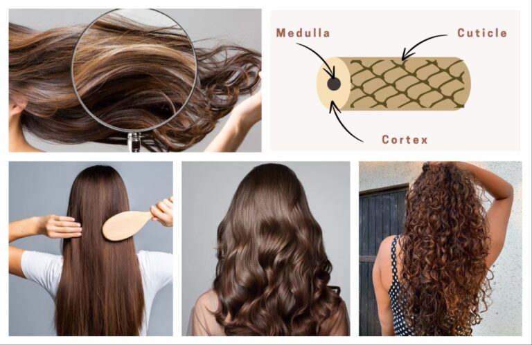 अवांतर, मराठीआर्टिकल, त्वचा, केसांची निगा, हेअर केअर, सौंदर्य, केसांची रचना, त्रिस्तरीय केस, केसांचे स्तर, केसांचे प्रकार