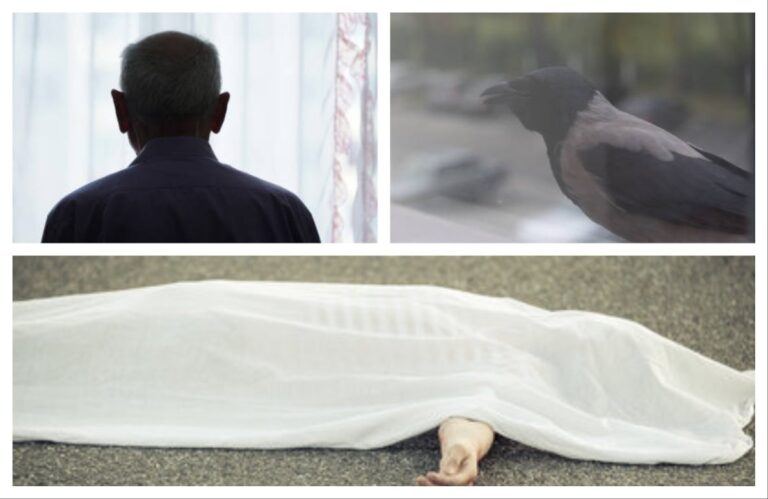 अवांतर, कथा, लघुकथा, लेख, स्टोरीज, मनोहरकथा, मृत्यू, जन्ममृत्यू, सांत्वन, मनोहर ज्योत्स्ना,