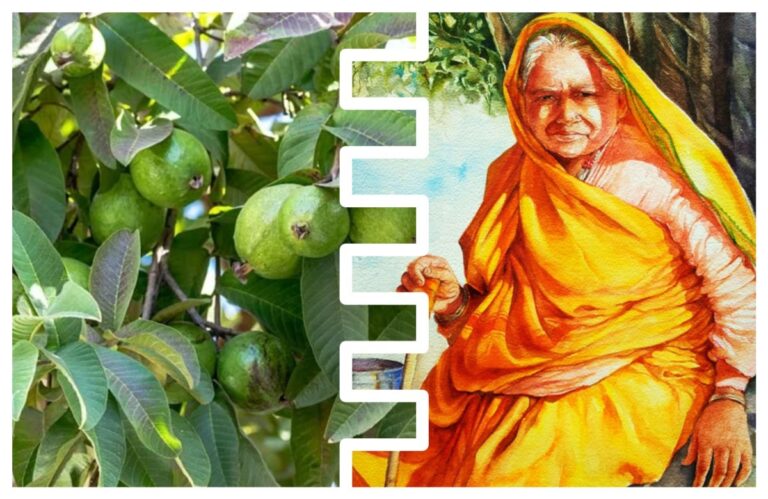 सुनंदा अक्का अन् पेरूचं झाड… अवांतर, मराठीकथा, मराठीलेखक, मराठीवाचन, पेरूचं झाडं, शेवंताकाकू, मुक्ता अक्का, सुनंदा अक्का, मटणपार्टी,