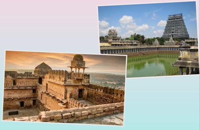 अवांतर, मराठीलेख, मराठीआर्टिकल, गाईड, असाधारण गाईड, चंदेरी, चिदंबरम नटराज मंदिर, चिदंबर मंदिर, नटराज मंदिर, विणकरांचे गाव, कल्लेभाई, इतिहासकार गाईड, वनस्पतिशास्त्रज्ञ गाईड,