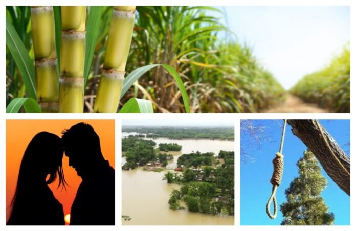 अवांतर, मराठीकथा, मराठीलेखक, मराठीवाचन, शेतकऱ्यांचे प्रश्न, शेतकरीपुत्र, शेतकरी लग्न, आसमानी संकट, पुराचा वेढा, पुराने नुकसान,