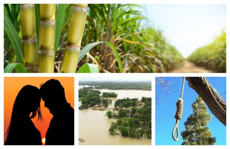 अवांतर, मराठीकथा, मराठीलेखक, मराठीवाचन, शेतकऱ्यांचे प्रश्न, शेतकरीपुत्र, शेतकरी लग्न, आसमानी संकट, पुराचा वेढा, पुराने नुकसान,