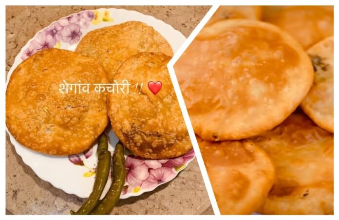अवांतर, रेसिपी, Recipe, Kitchen Tips, विदर्भ स्पेशल, शेगाव स्पेशल, कचोरी, शेगाव कचोरी, तीरथराम शर्मा कचोरी, खमंग कचोरी,