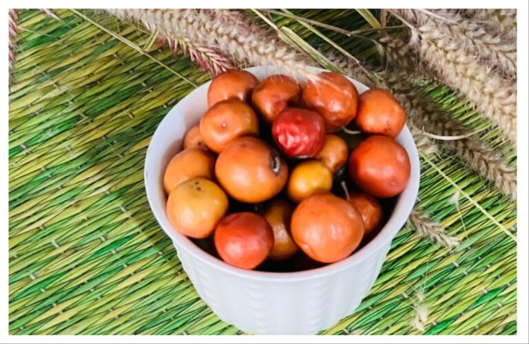 अवांतर, मराठीसाहित्य, मराठीआर्टिकल, मराठी कथा, मी मराठी, मराठी लेख, अभिजात मराठी, सिंगल माप, सिंगल बोरं, बोरांचा आनंद, शालेय जीवन, बोरं विकणारी आजी, बोरं विकणारी म्हातारी, बोरं आठवणी, दादाचे चिडणं,