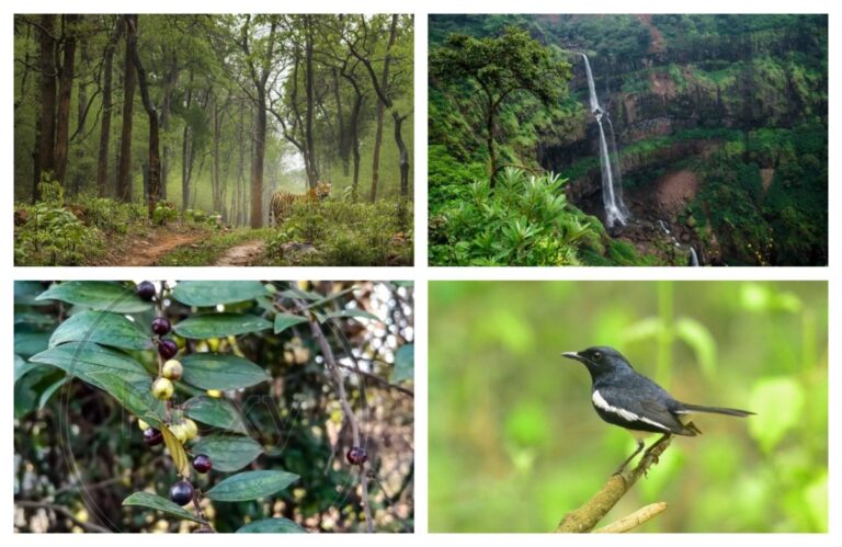 अवांतर, मराठीलेख, मराठीआर्टिकल, मराठी कथा, मराठी साहित्य, मी मराठी, अभिजात मराठी, निसर्गाचा अभ्यास, निसर्ग अभ्यास, निसर्गाचे संतुलन, विद्यार्थ्यातील सुप्त गुण, वनस्पतींची माहिती, औषध वनस्पती माहिती, विद्यार्थ्यांची निरीक्षणशक्ती, ग्रहांचा अभ्यास, खगोलशास्त्र अभ्यास