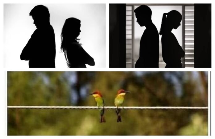 अवांतर, मराठीआर्टिकल, मराठीलेख, मराठीसाहित्य, मराठीकथा, मी मराठी, अभिजात मराठी, क्षणिक अबोला, लटका अबोला, मीठासारखा अबोला, अबोल्यातील गोडवा, अबोल्यातून संवाद, नात्यातील अबोला, नात्यातील जवळीक, मनातील वादळे, दृश्य अबोला अदृश्य संवाद,