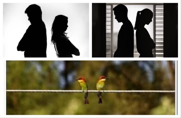 अवांतर, मराठीआर्टिकल, मराठीलेख, मराठीसाहित्य, मराठीकथा, मी मराठी, अभिजात मराठी, क्षणिक अबोला, लटका अबोला, मीठासारखा अबोला, अबोल्यातील गोडवा, अबोल्यातून संवाद, नात्यातील अबोला, नात्यातील जवळीक, मनातील वादळे, दृश्य अबोला अदृश्य संवाद,