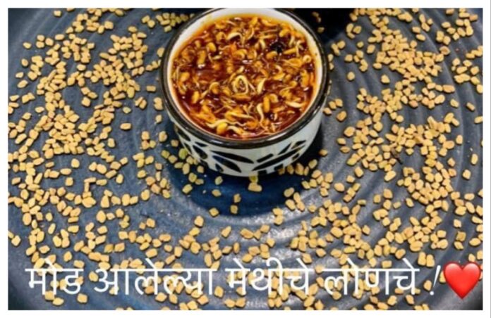 अवांतर, रेसिपी, Recipe, Kitchen Tips, किचन टिप्स, किचन टीप्स, मी मराठी, अभिजात मराठी, मेथीदाण्यांचे लोणचे, मोड आलेले मेथीदाणे, मोड आलेल्या मेथीदाण्यांचे लोणचे, मेथी लोणचे, मेथीचे लोणचे,