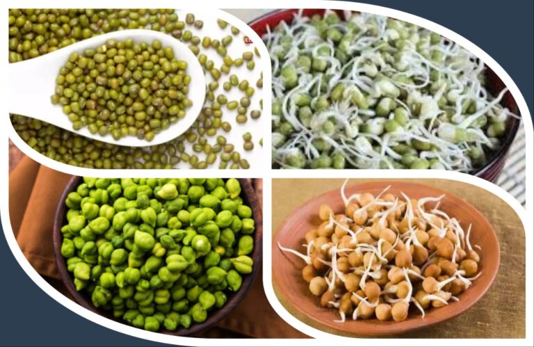 अवांतर, मराठी कथा, मराठी साहित्य, मराठी लेखक, मी मराठी, मराठी लेख, अभिजात मराठी, सकस आहार, संतुलित आहार, ऋतूमान आणि आहार, कडधान्य खाण्याची पद्धत, पोट फुगवणारे कडधान्य, ऋतू आणि आहार पद्धती, भारतीय आहार पद्धती उत्तम,