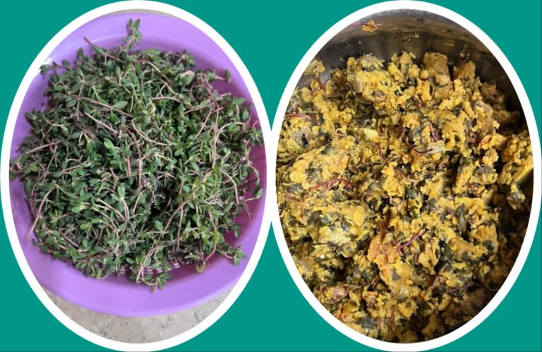 अवांतर, रेसिपी, Recipe, Kitchen Tips, किचन टिप्स, किchicचन टीप्स, मी मराठी, अभिजात मराठी, मराठी लेख, चिवळीची भाजी, विदर्भ स्पेशल चिवळी, उन्हाळा स्पेशल चिवळीची भाजी, चिवळीच्या भाजीची रेसिपी,