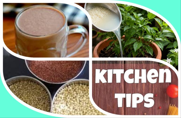 अवांतर, रेसिपी, Recipe, Kitchen Tips, किचन टिप्स, किचन टीप्स, मी मराठी, अभिजात मराठी, नाचणीची भाकरी, बोर्नव्हिटाला पर्याय, बोर्नव्हिटासारखे पौष्टिक पेय, भाताची पेज, भाताची पेजेचा भाकरीत वापर, भाज्या धुतलेले पाणी, डाळ तांदूळ धुतलेले पाणी, झाडांसाठी भाज्यांचे पाणी, झाडांसाठी डाळ तांदळाचे पाणी