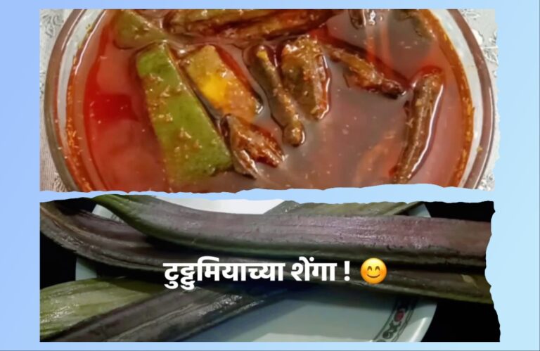 अवांतर, मराठी लेख, मराठी कथा, मराठी साहित्य, मी मराठी, अभिजात मराठी, मराठी लेखक, माधवी जोशी माहुलकर, लेखिका माधवी जोशी माहुलकर, माधवी जोशी, माधवी माहुलकर, Recipe, टुट्टुमियाच्या शेंगांचे लोणचे, विदर्भ स्पेशल लोणचे, विदर्भ स्पेशल टुट्टुमियाच्या शेंगांचे लोणचे, गडचिरोलीचे जंगल, गडचिरोली स्पेशल टुट्टुमियाच्या शेंगांचे लोणचे, गडचिरोली टुट्टुमिया शेंगा