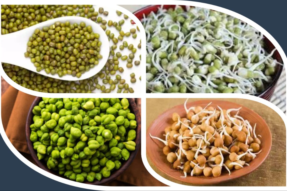 अवांतर, मराठी कथा, मराठी साहित्य, मराठी लेखक, मी मराठी, मराठी लेख, अभिजात मराठी, सकस आहार, संतुलित आहार, ऋतूमान आणि आहार, कडधान्य खाण्याची पद्धत, पोट फुगवणारे कडधान्य, ऋतू आणि आहार पद्धती, भारतीय आहार पद्धती उत्तम,