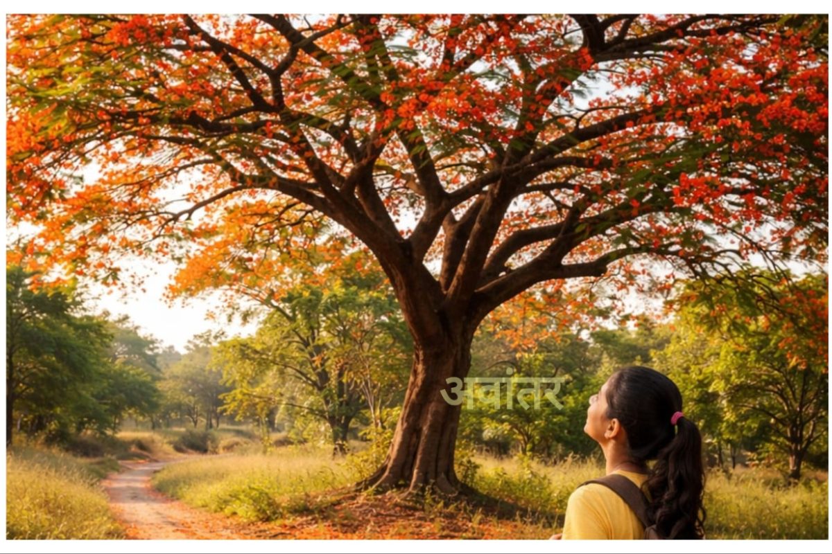 अवांतर, मराठीकथा, मराठीलेखक, मराठीवाचन, मराठी साहित्य, मी मराठी, अभिजात मराठी, भावनांपेक्षा व्यवहार महत्त्वाचा, गुलमोहराचे झाड, ग्रीष्म ऋतुतील गुलमोहर, पारिजातचा मांडव, प्राजक्ताचा मांडव, गुलमोहराचे विशाल झाड,