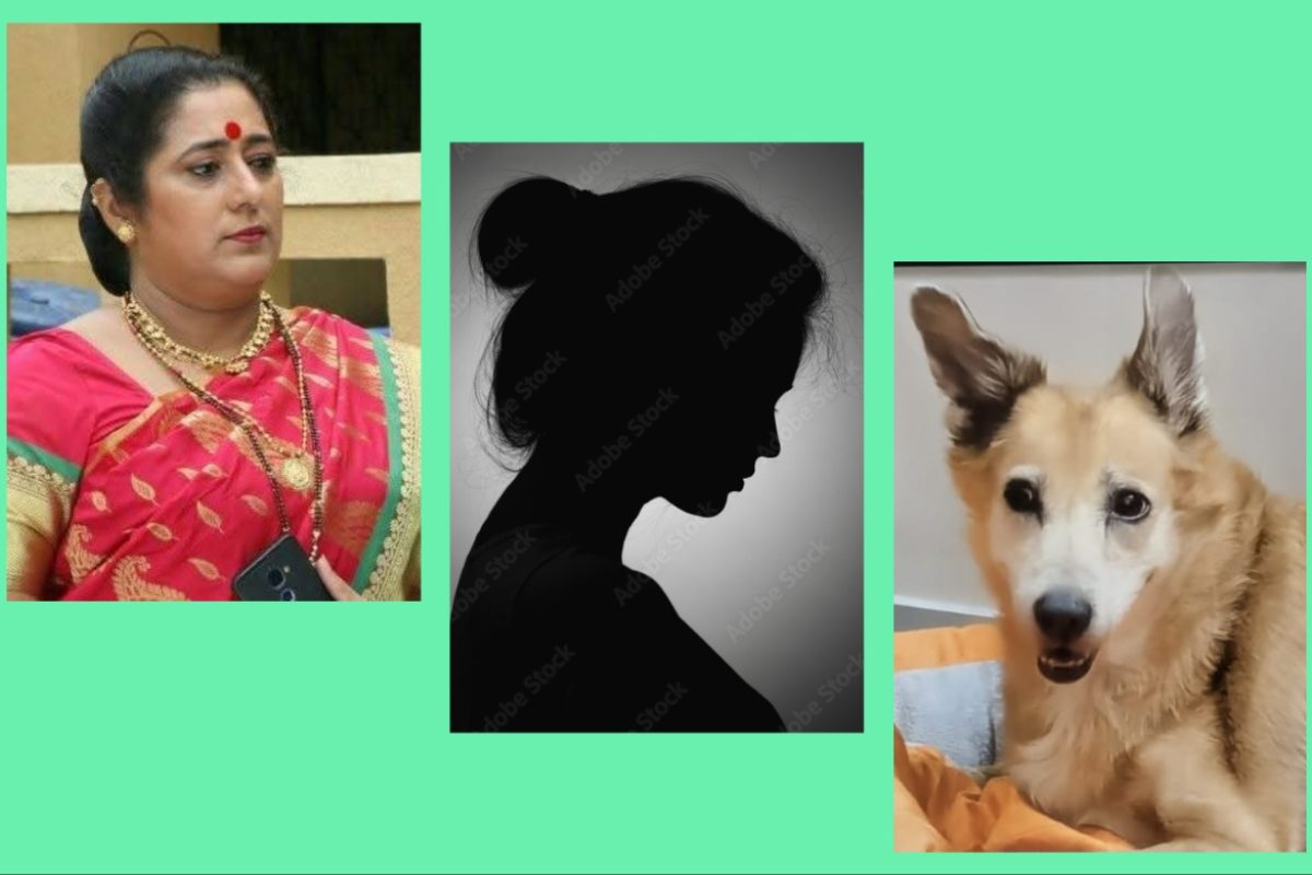 अवांतर, मराठीआर्टिकल, मराठीलेख, मराठी कथा, मराठी साहित्य, मी मराठी, अभिजात मराठी, ब्रँडी डॉगी, ब्रँडी कुत्री, ब्रँडीशी नाते, ब्रँडीच्या आठवणी, ब्रँडीचे स्नेहबंध, प्रेमळ ब्रँडी, ब्रँडी आणि हर्षा गुप्ते, हर्षा गुप्तेची ब्रँडी