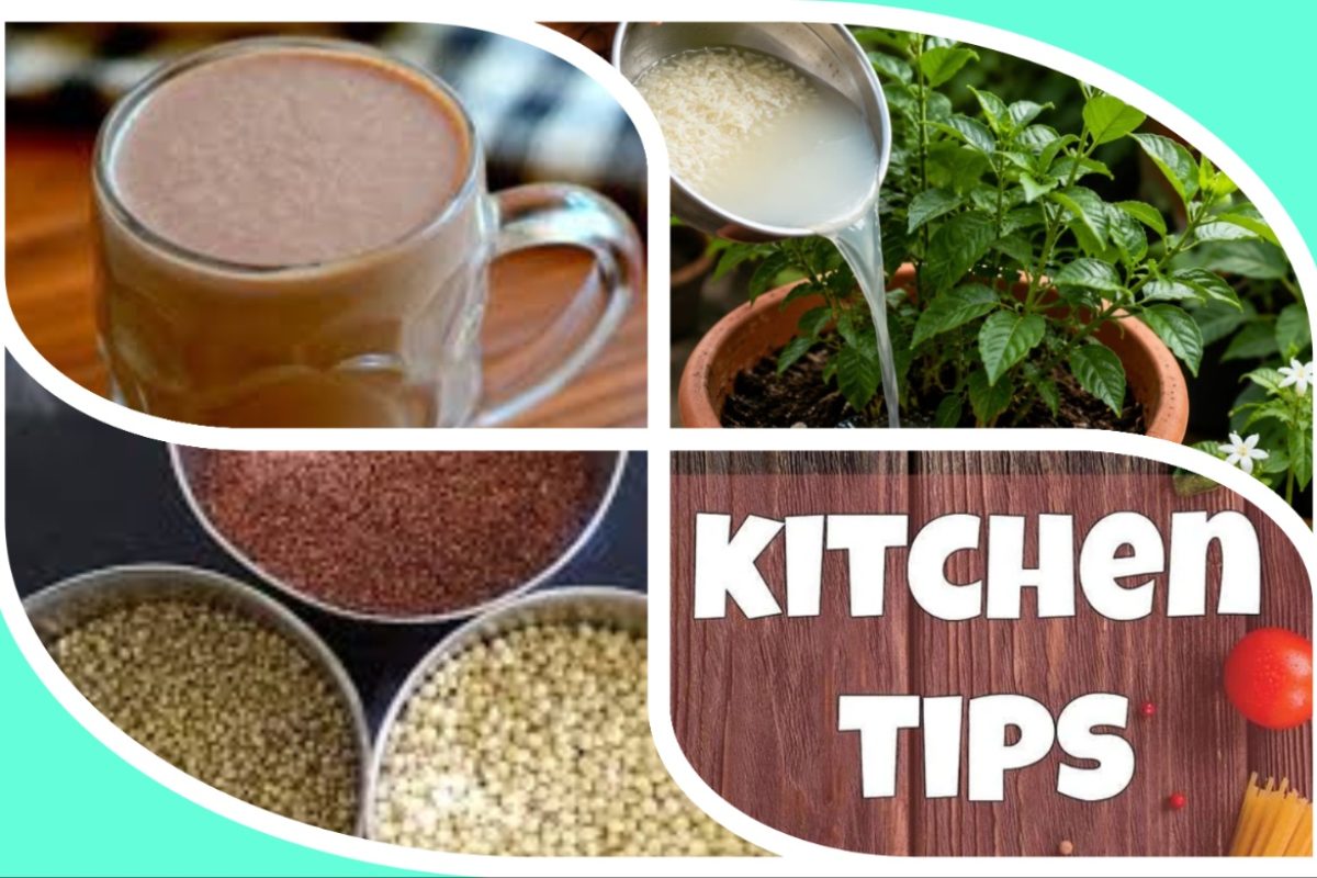 अवांतर, रेसिपी, Recipe, Kitchen Tips, किचन टिप्स, किचन टीप्स, मी मराठी, अभिजात मराठी, नाचणीची भाकरी, बोर्नव्हिटाला पर्याय, बोर्नव्हिटासारखे पौष्टिक पेय, भाताची पेज, भाताची पेजेचा भाकरीत वापर, भाज्या धुतलेले पाणी, डाळ तांदूळ धुतलेले पाणी, झाडांसाठी भाज्यांचे पाणी, झाडांसाठी डाळ तांदळाचे पाणी