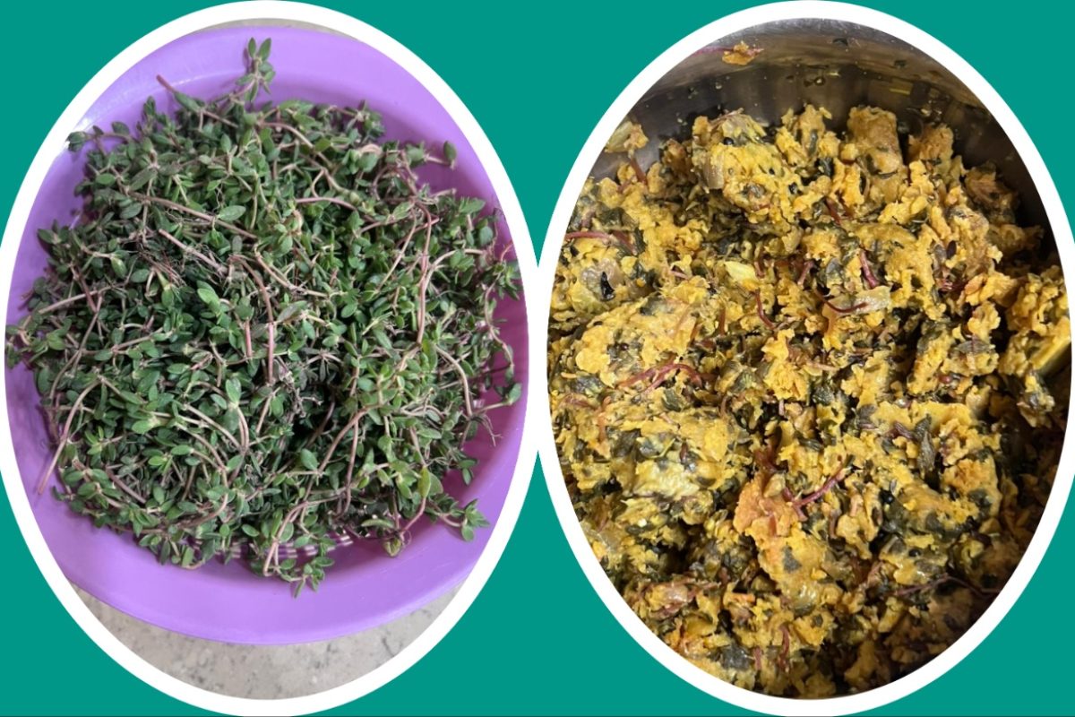 अवांतर, रेसिपी, Recipe, Kitchen Tips, किचन टिप्स, किchicचन टीप्स, मी मराठी, अभिजात मराठी, मराठी लेख, चिवळीची भाजी, विदर्भ स्पेशल चिवळी, उन्हाळा स्पेशल चिवळीची भाजी, चिवळीच्या भाजीची रेसिपी,