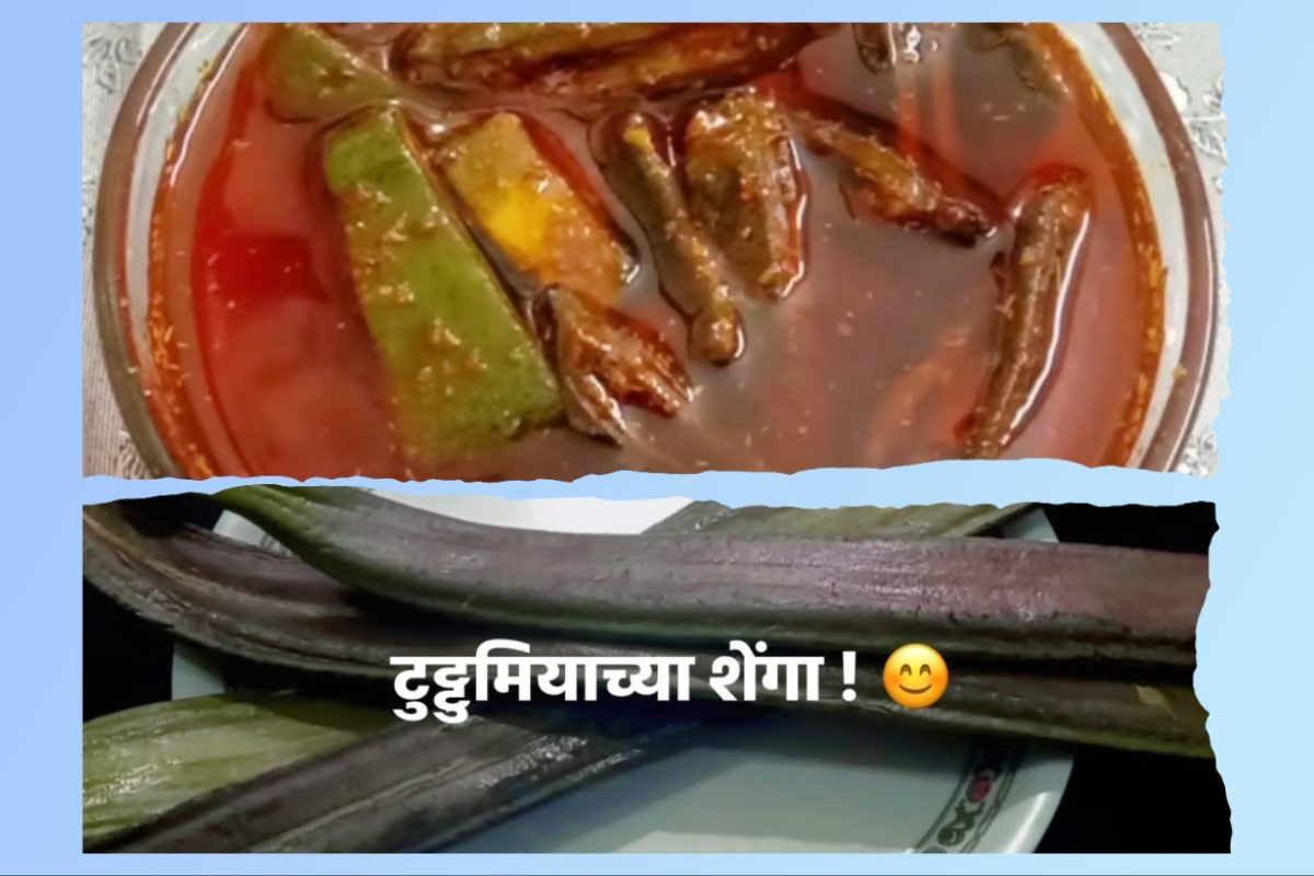अवांतर, मराठी लेख, मराठी कथा, मराठी साहित्य, मी मराठी, अभिजात मराठी, मराठी लेखक, माधवी जोशी माहुलकर, लेखिका माधवी जोशी माहुलकर, माधवी जोशी, माधवी माहुलकर, Recipe, टुट्टुमियाच्या शेंगांचे लोणचे, विदर्भ स्पेशल लोणचे, विदर्भ स्पेशल टुट्टुमियाच्या शेंगांचे लोणचे, गडचिरोलीचे जंगल, गडचिरोली स्पेशल टुट्टुमियाच्या शेंगांचे लोणचे, गडचिरोली टुट्टुमिया शेंगा