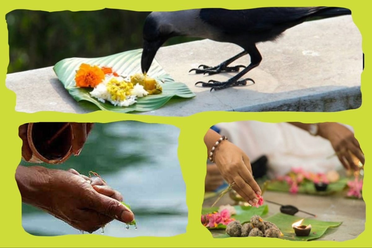अवांतर, कथा, लघुकथा, लेख, स्टोरीज, पितृपक्ष, पितृपंधरवडा, तर्पण, श्राद्ध, पितरे, पिंडदान, Pitrupaksha, Pitrupandharvada, Tarpan, Shraddha, Pitre, Pinddan,