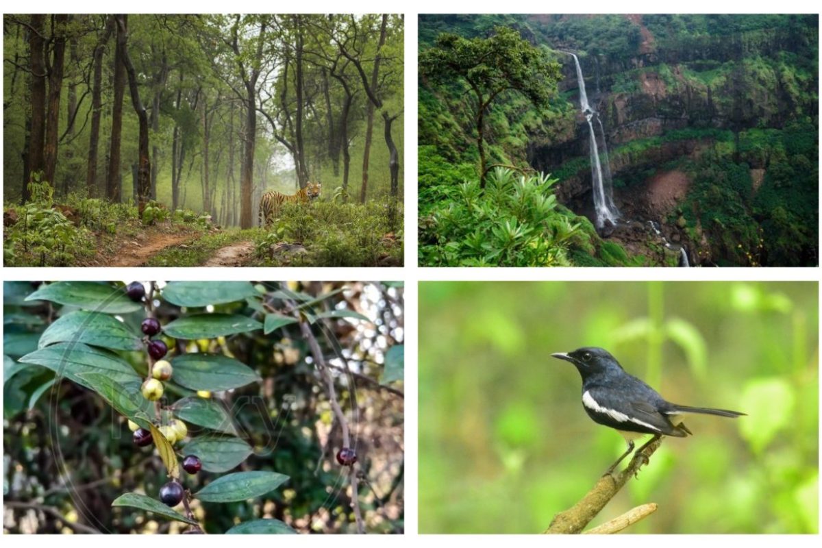 अवांतर, मराठीलेख, मराठीआर्टिकल, मराठी कथा, मराठी साहित्य, मी मराठी, अभिजात मराठी, निसर्गाचा अभ्यास, निसर्ग अभ्यास, निसर्गाचे संतुलन, विद्यार्थ्यातील सुप्त गुण, वनस्पतींची माहिती, औषध वनस्पती माहिती, विद्यार्थ्यांची निरीक्षणशक्ती, ग्रहांचा अभ्यास, खगोलशास्त्र अभ्यास